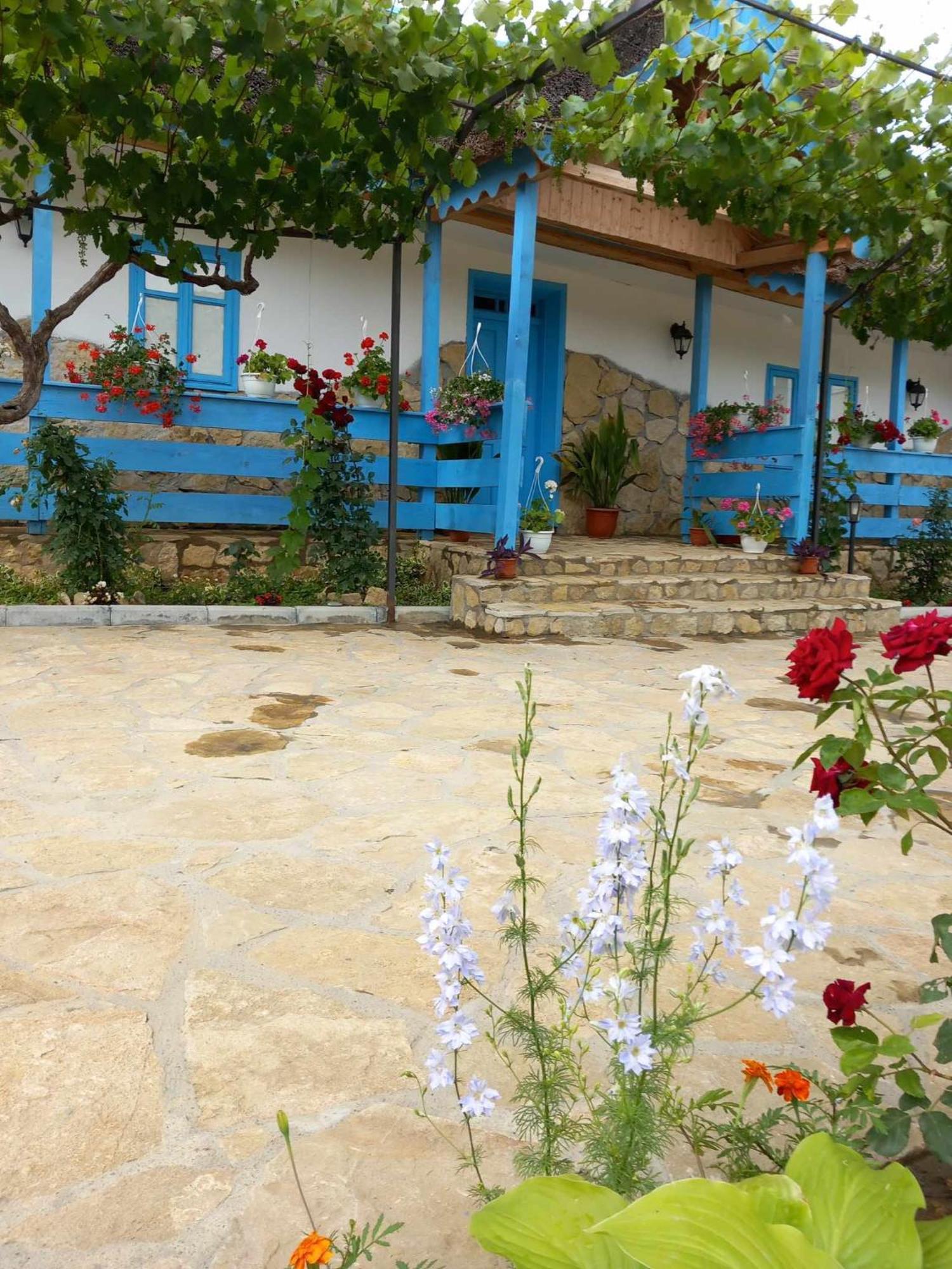 Casa Rasaritul Soarelui Sarichioi Hotell Exteriör bild