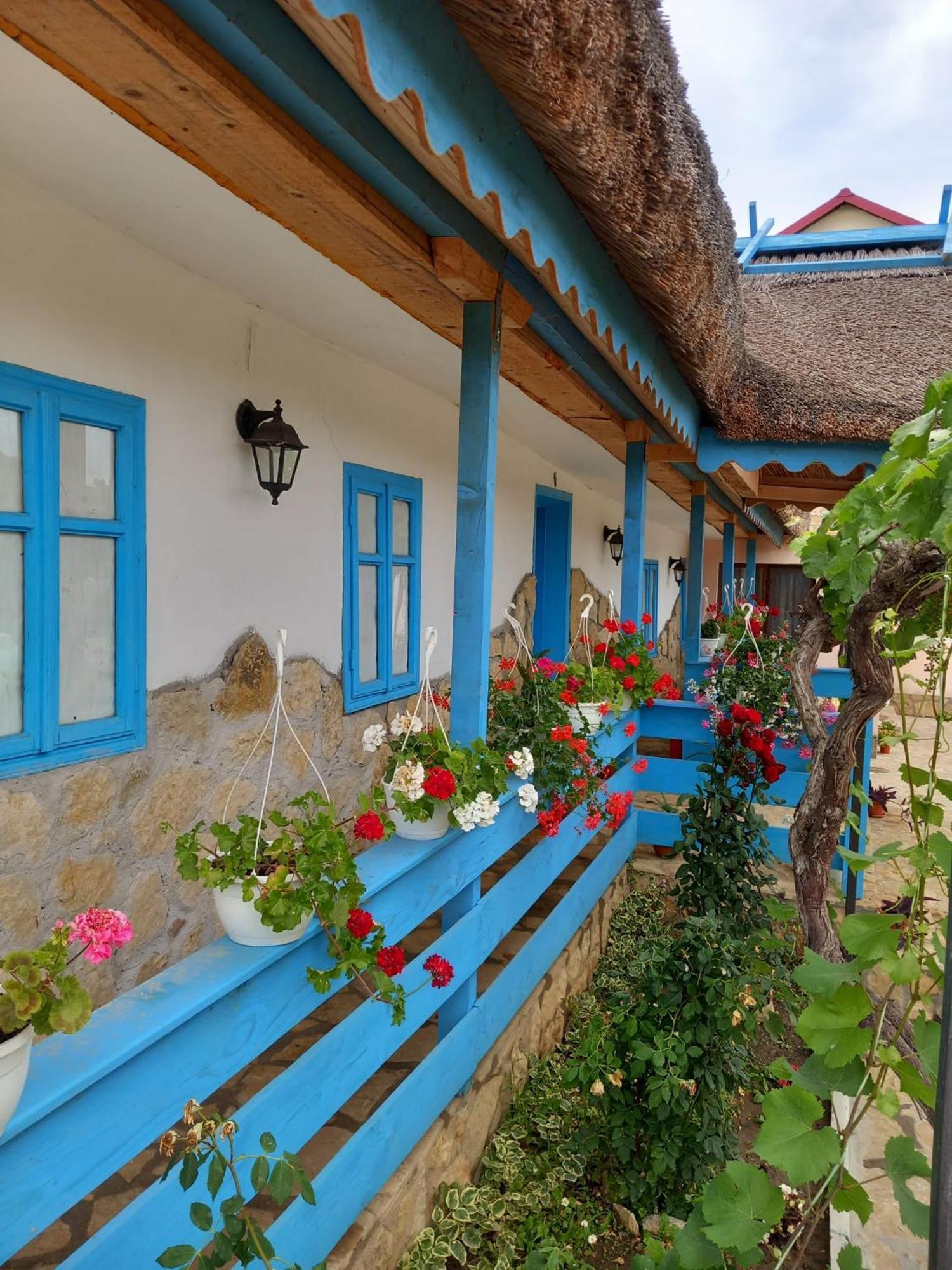 Casa Rasaritul Soarelui Sarichioi Hotell Exteriör bild